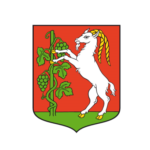 Prezydent Miasta Lublin